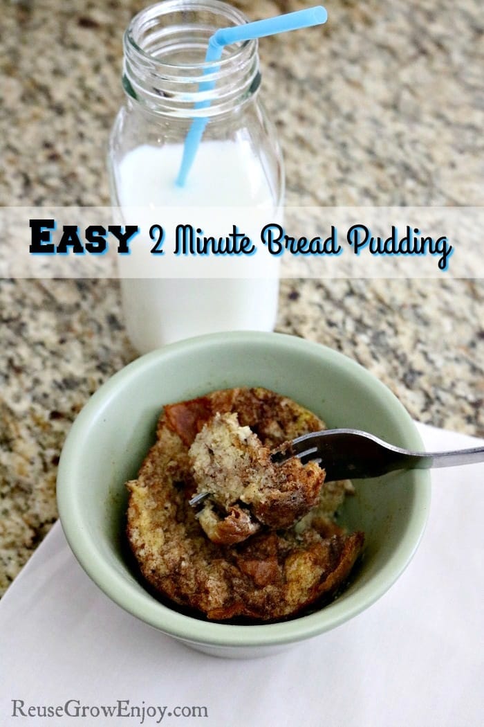 Do you like bread pudding but don't like having to wait forever for it to finish baking? Check out this Super Easy 2 Minute Bread Pudding!