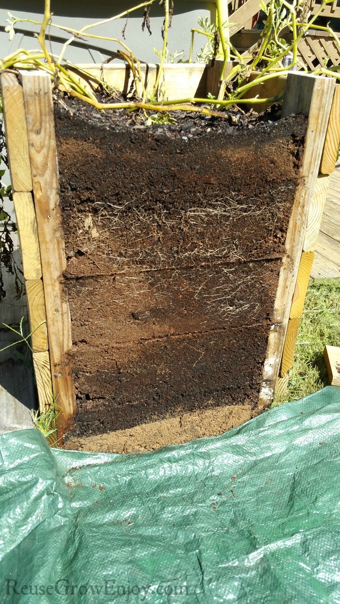 Boards removed from one side of potato tower with tarp laying on the ground in front.