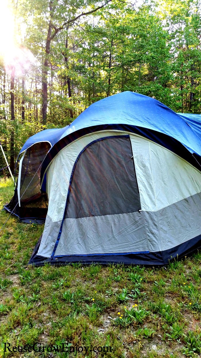 Large family tent with the sun shining through the trees on to the tent.