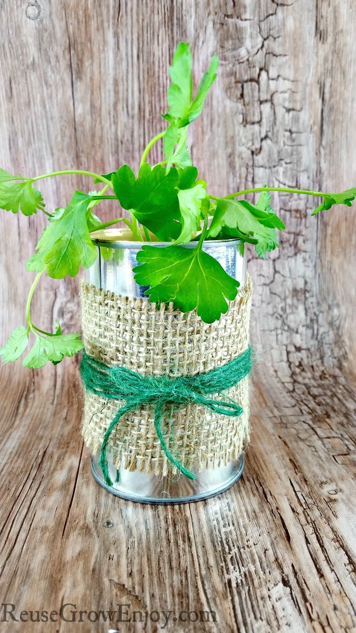 Need to add a touch of country to your house? Check out this super easy and cute country tin can planter. It only takes just minutes to make!