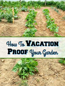 Want to take a vacation but worried because you have a garden? Check out these tips on how to vacation proof your garden!