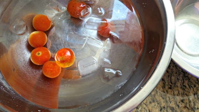 Tomatoes in ice water