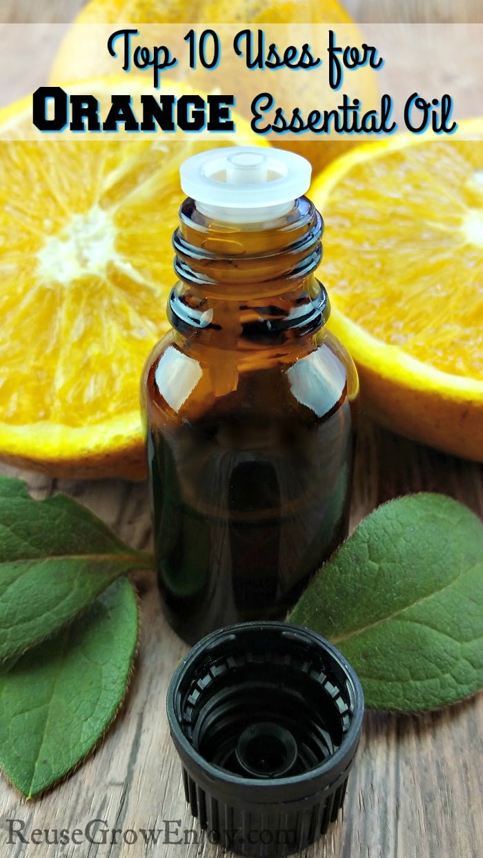 Wanting to try orange oil and wondering what it is good for? Check out these Top 10 Uses for Orange Essential Oil!