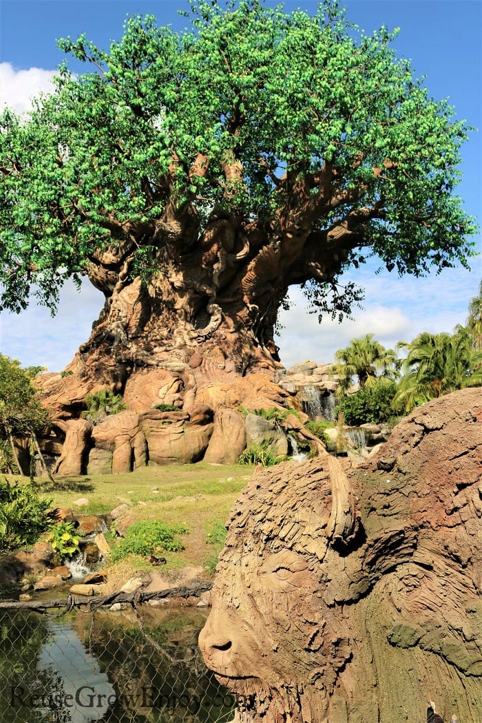 The Tree Of Life at Animal Kingdom. One of the top 8 reasons to visit with the family.