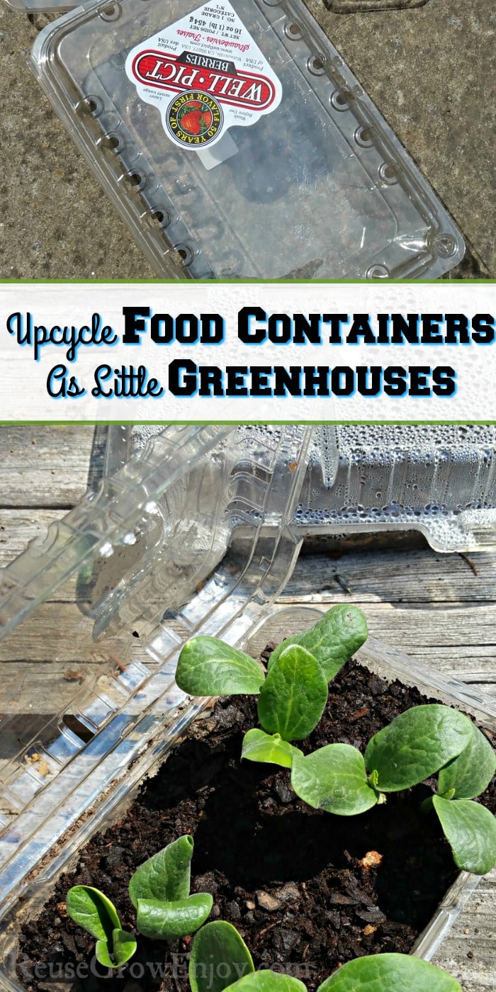 https://reusegrowenjoy.com/wp-content/uploads/Upcycle-Food-Containers-As-Little-Greenhouses-For-Seed-Starting.jpg