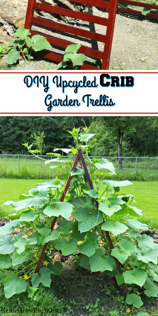 Upcycled Crib Garden Trellis For Climbing Plants