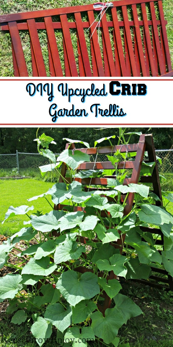 Crib rails at the top and they are made into a garden trellis at the bottom with plants growing up them.