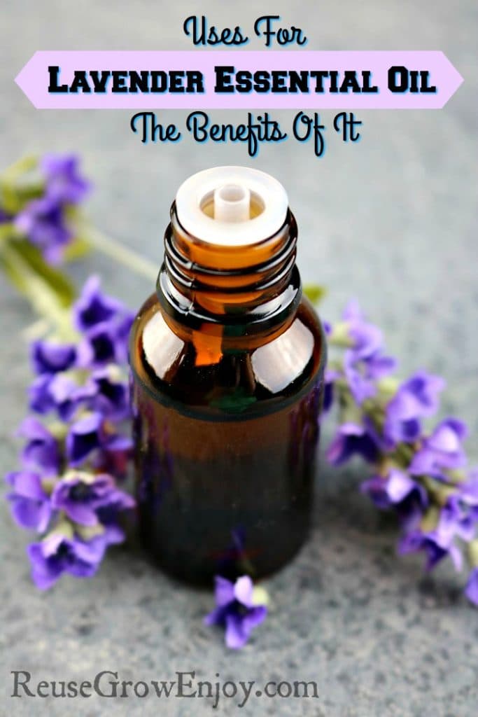 Uses For Lavender Essential Oil & The Benefits Of It - Reuse Grow Enjoy