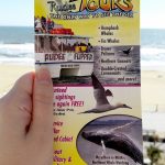 Hand holding a flyer for Virginia Beach whale watching tour with the beach in the background.