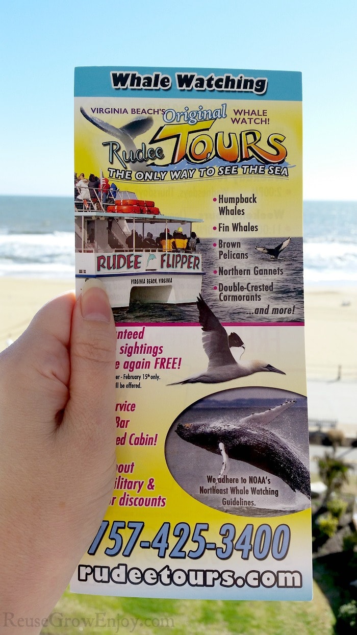 Hand holding a flyer for Virginia Beach whale watching tour with the beach in the background.