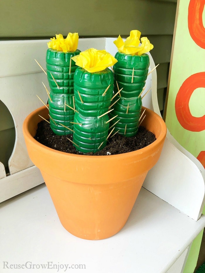 Do you love the look of a cactus? If you are looking for a fun and easy project to add a little cactus decor to your home, check out this water bottle cactus craft!