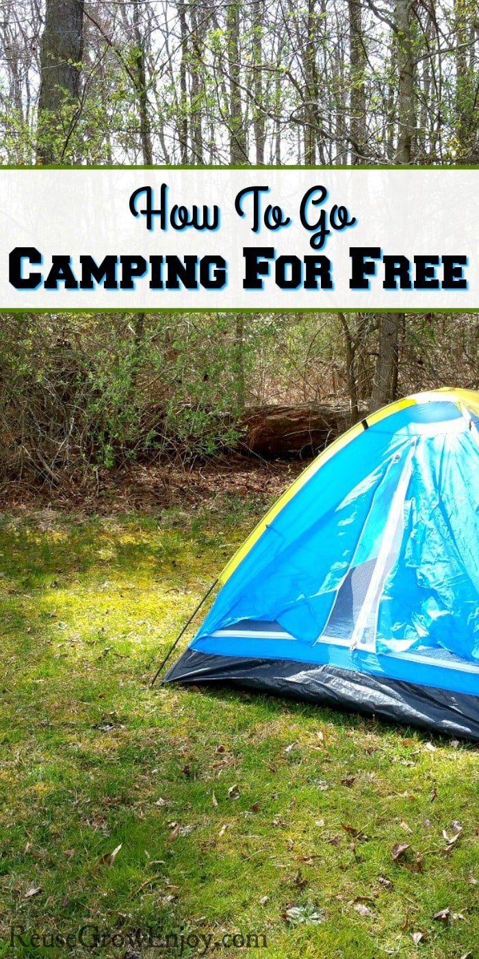 Small light blue tent with yellow trim setting on grass with woods in background. Text overlay that says "How to go camping for free".