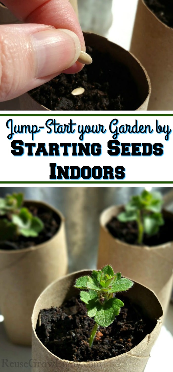 Top is a hand planting seeds in dirt that is in a cardboard tube. Bottom is three small plants growing in cardboard tubes. Middle has a text overlay that says "Jump-Start your Garden by Starting Seeds Indoors".