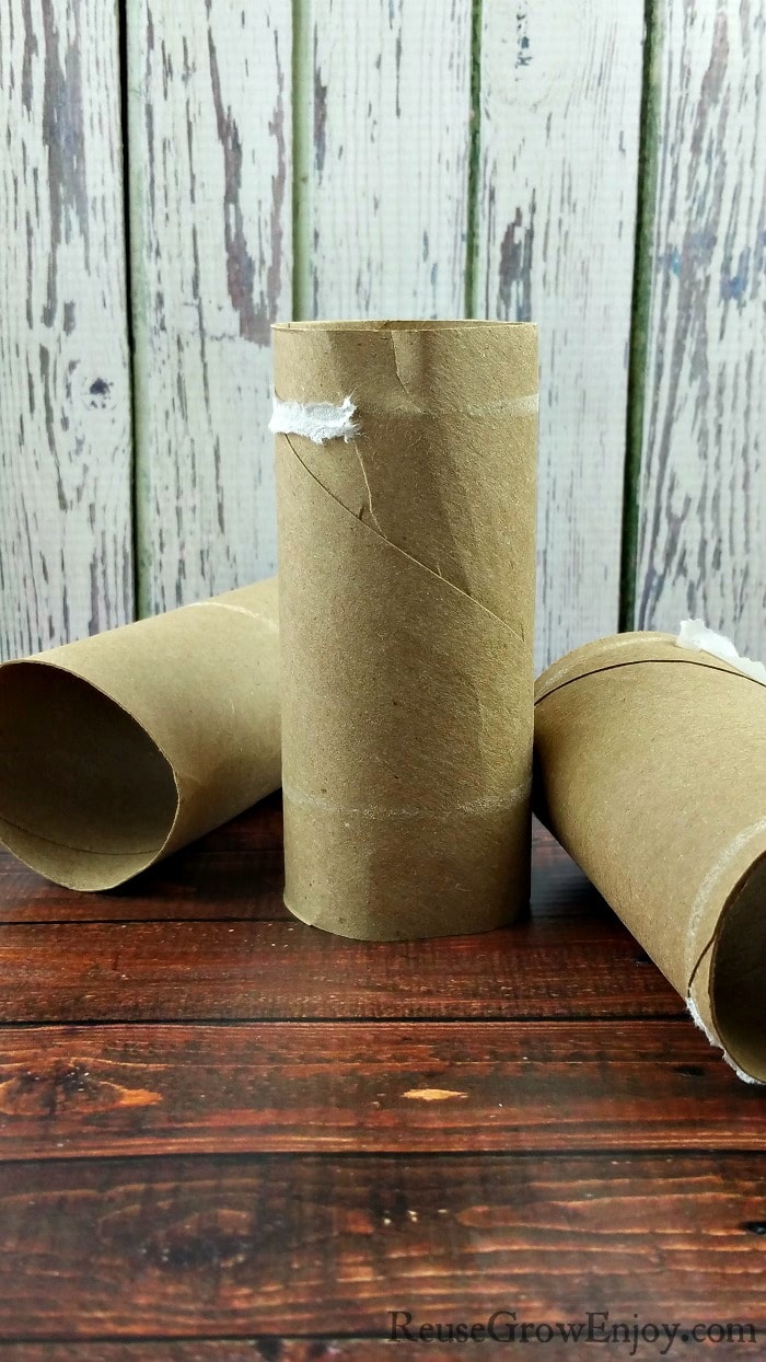 3 Empty Toilet Paper rolls laying on and in front of wood backgrounds.