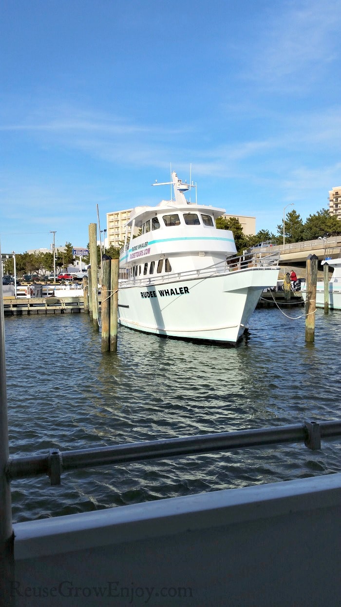 Whale cruise boat tied up to the dock.