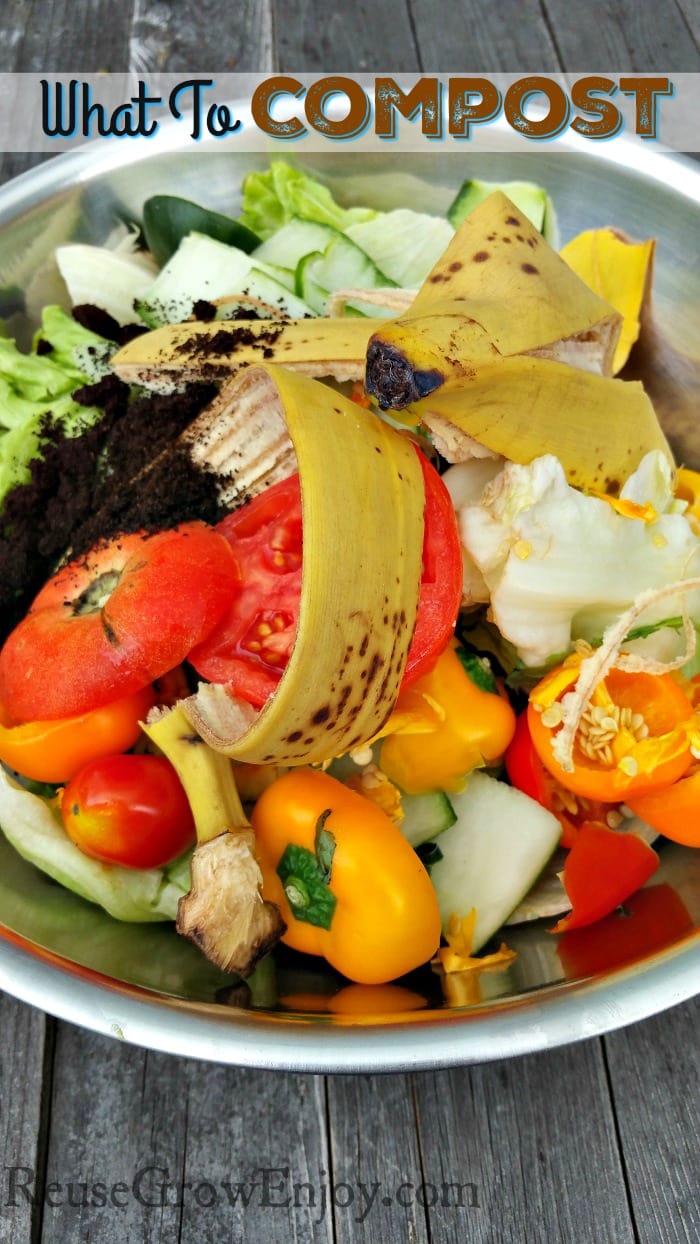 Bowl full of kitchen scraps that can be put in compost