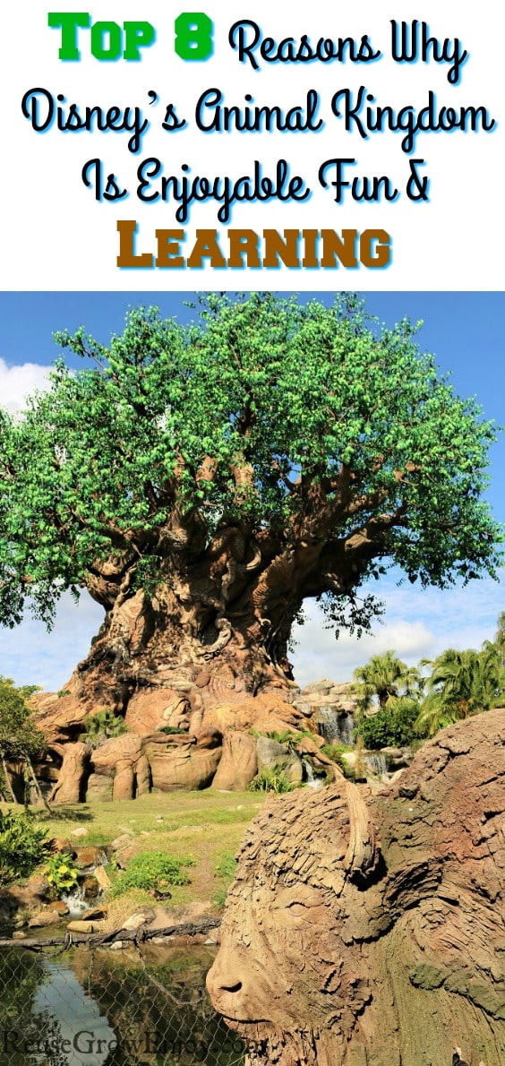 Looking for somewhere enjoyable to take the family? Check out these top 8 reasons Why Disney’s Animal Kingdom Is Perfect Fun For The Family & Learning!