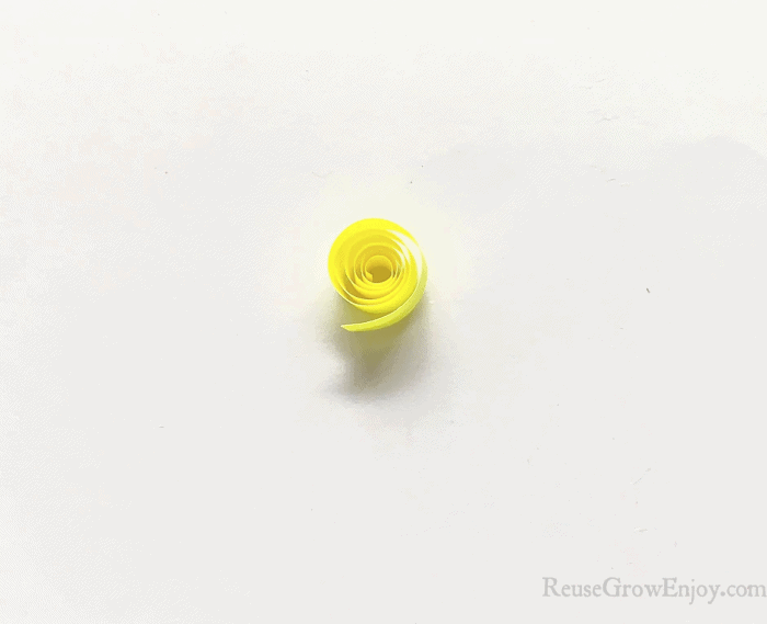 Yellow paper coiled