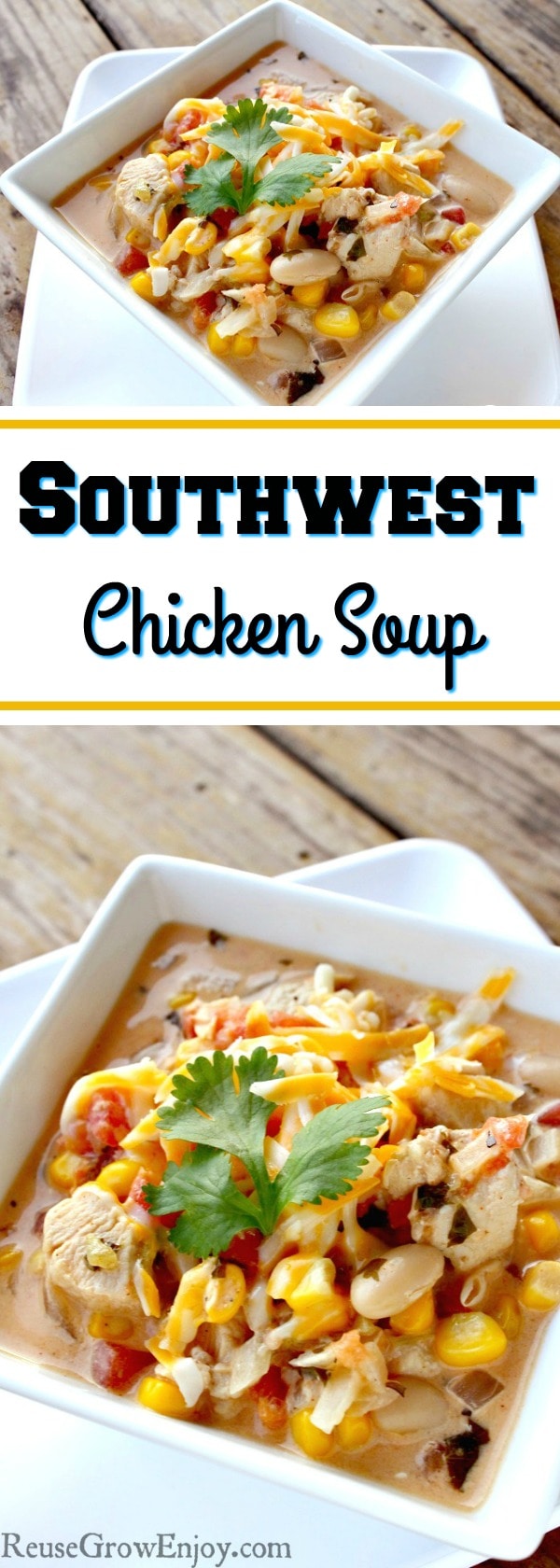 o you ever get sick of eating the same old soups? If you are looking for something different for your taste buds, I have a recipe you have to try. It is a recipe for Southwest Chicken Soup.