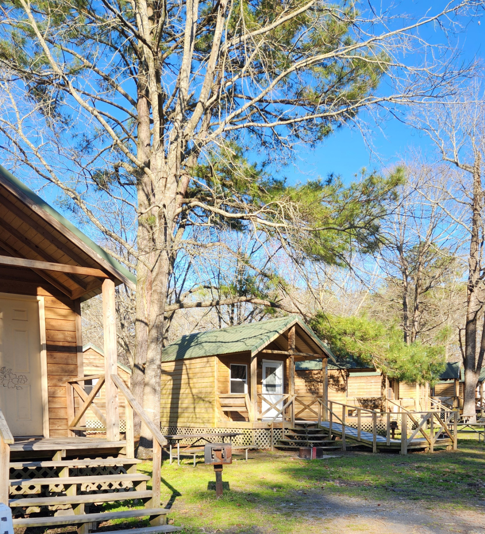 Cabins in trees at Holiday Trav-L-Park