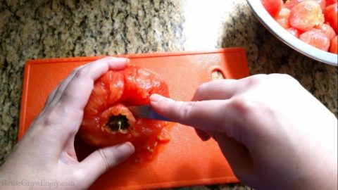 How To Blanch And Freeze Tomatoes