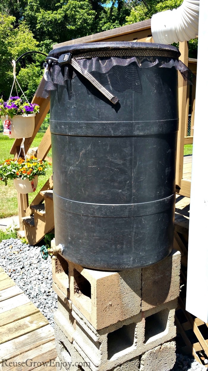 Do you have issues with mosquitoes in your rain barrel? I am going to show you how to mosquito proof a rain barrel! So much cheaper than a new one!