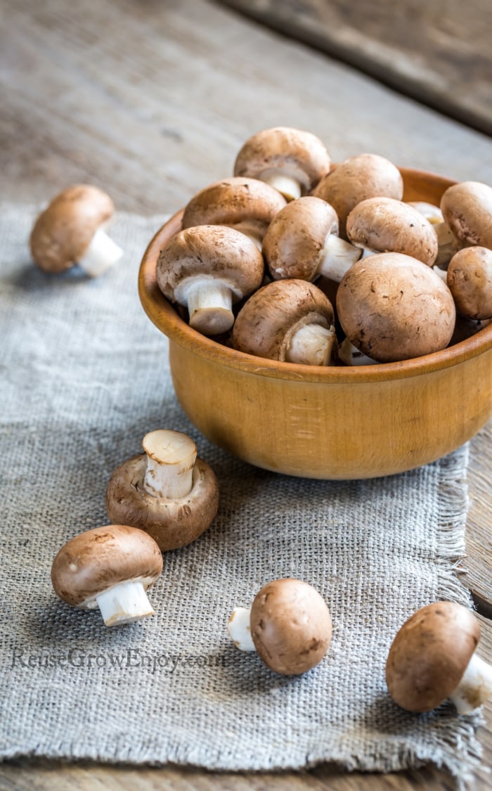 Bowl of mushrooms with a few outside the bowl