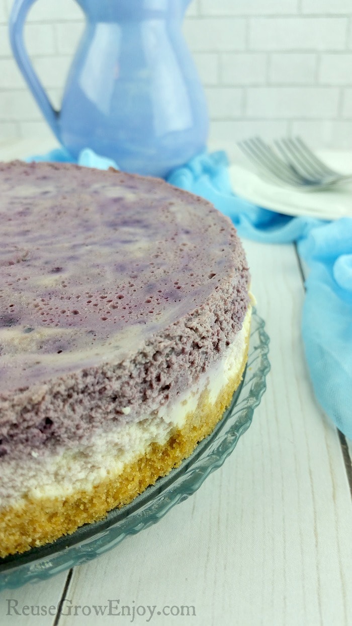 whole blueberry instant pot cheesecake uncut
